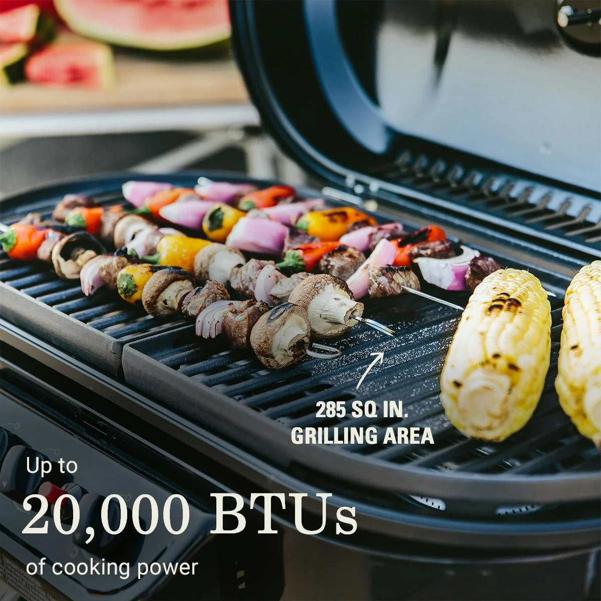 Roadtrip® 285 Portable Stand-Up Propane Grill